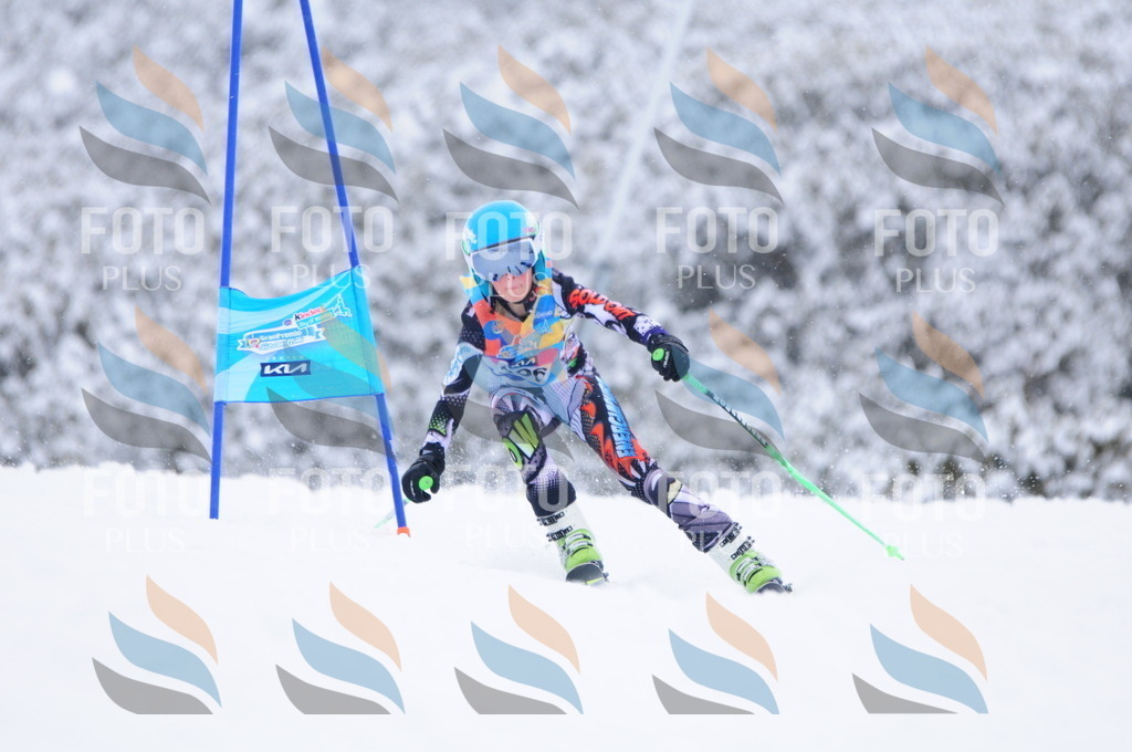 C4191 | holidayphoto