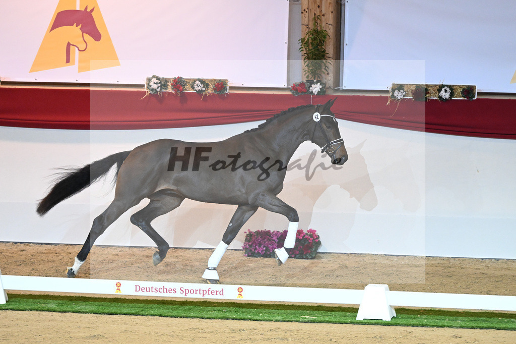 Kat-Nr. 42 De Beau_Schult_1230114 | hf-fotografie - Realisiert mit Pictrs.com