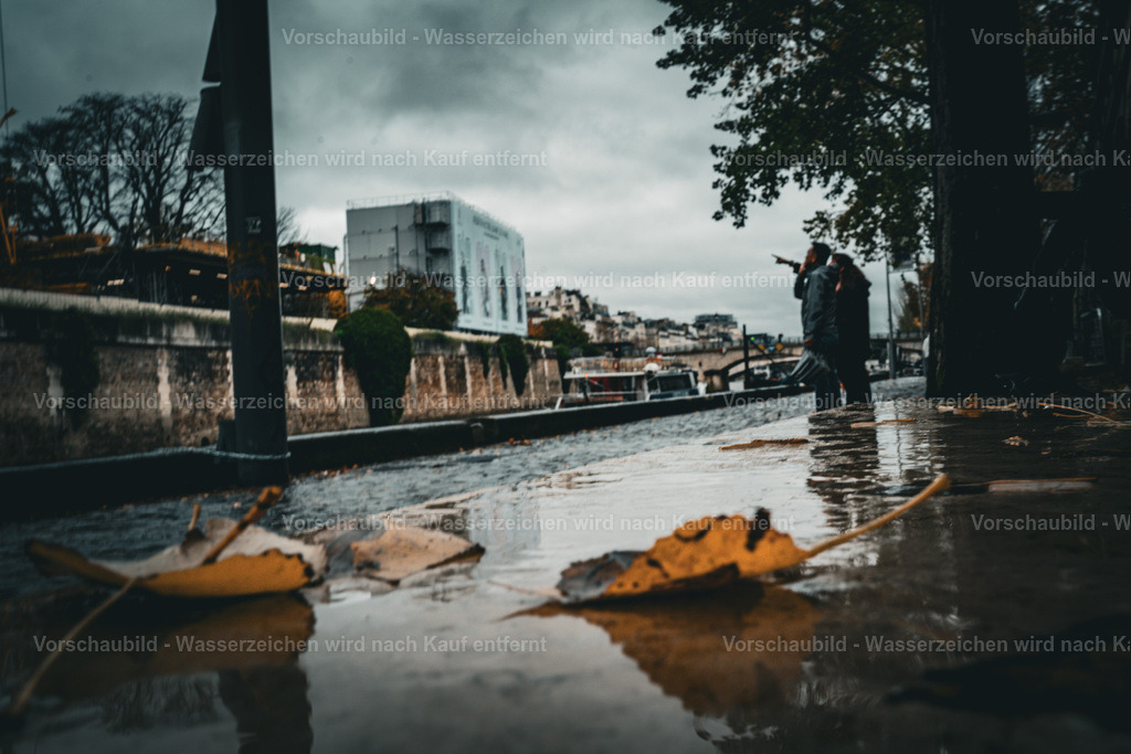 DSC09031 2 | marcuslinek