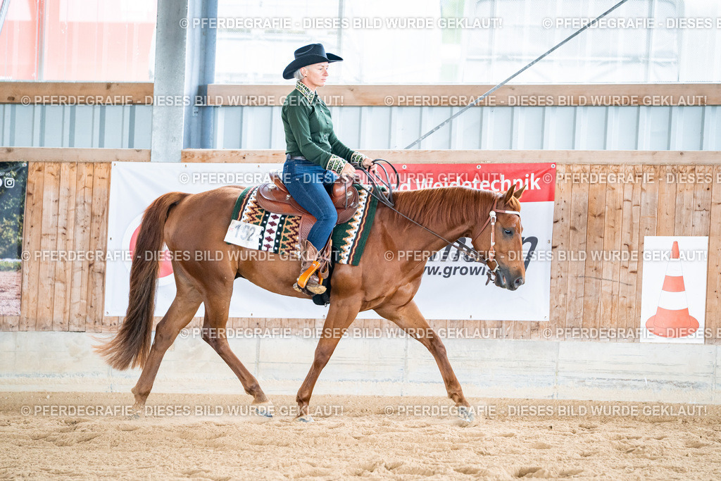 DSC02306 | Pferdegrafie