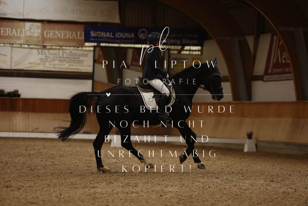 IMGM8420 | pl-fotografie