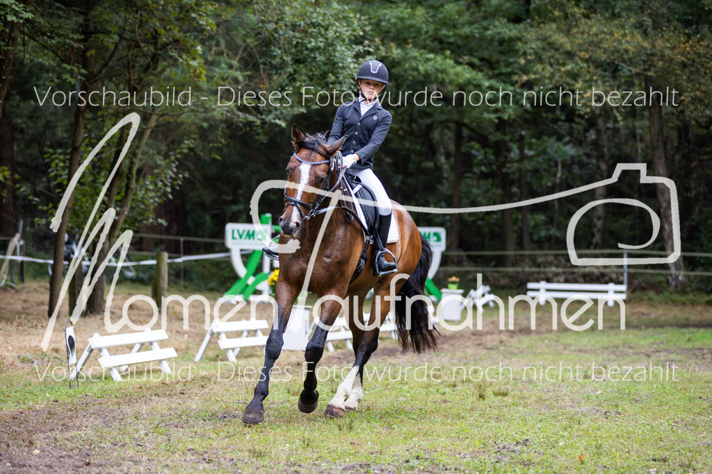 HB-Reiter-WB-002 | MomenTaufnahmen Pferdesportfotos