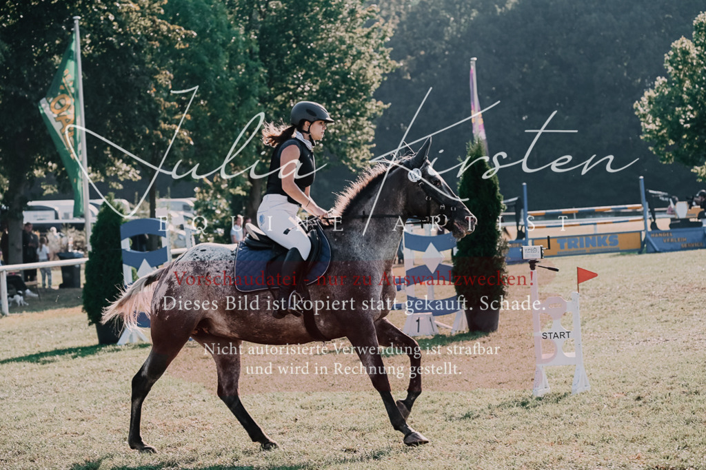 DSC_4489 | Pferde- und Turnierfotografie in Westsachsen. Pferdeportraits, Auftragszeichnungen und intuitive Kunst.