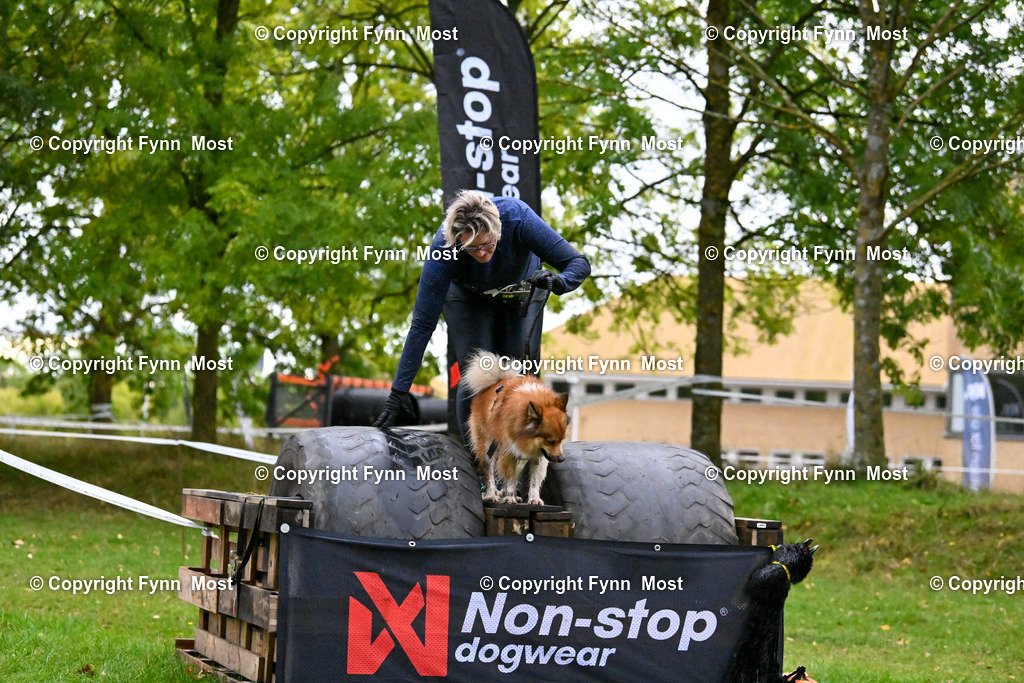 DSC_3803 | Hallo und herzlich Willkommen auf meiner Shop-Seite Fynn Most.

Ich wünsche Dir viel Spaß beim stöbern durch die Bilder, wenn Du Fragen hast oder Bilder vermisst, kannst du mir gerne eine Nachricht schreiben. - Realisiert mit Pictrs.com