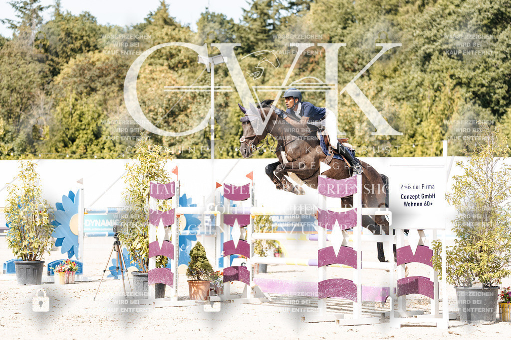 CK905372 | Turnierfotografie Pferdefotografie Trier Rheinland-Pfalz Pferdesport Reitsport Tierfotografie Sportfotografie Pferdevideo Pferdevideografie Equestrianvideography equestrianphotography  - Realisiert mit Pictrs.com