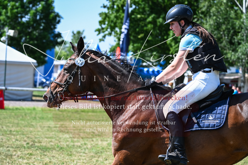 DSC_1499 | Pferde- und Turnierfotografie in Westsachsen. Pferdeportraits, Auftragszeichnungen und intuitive Kunst.