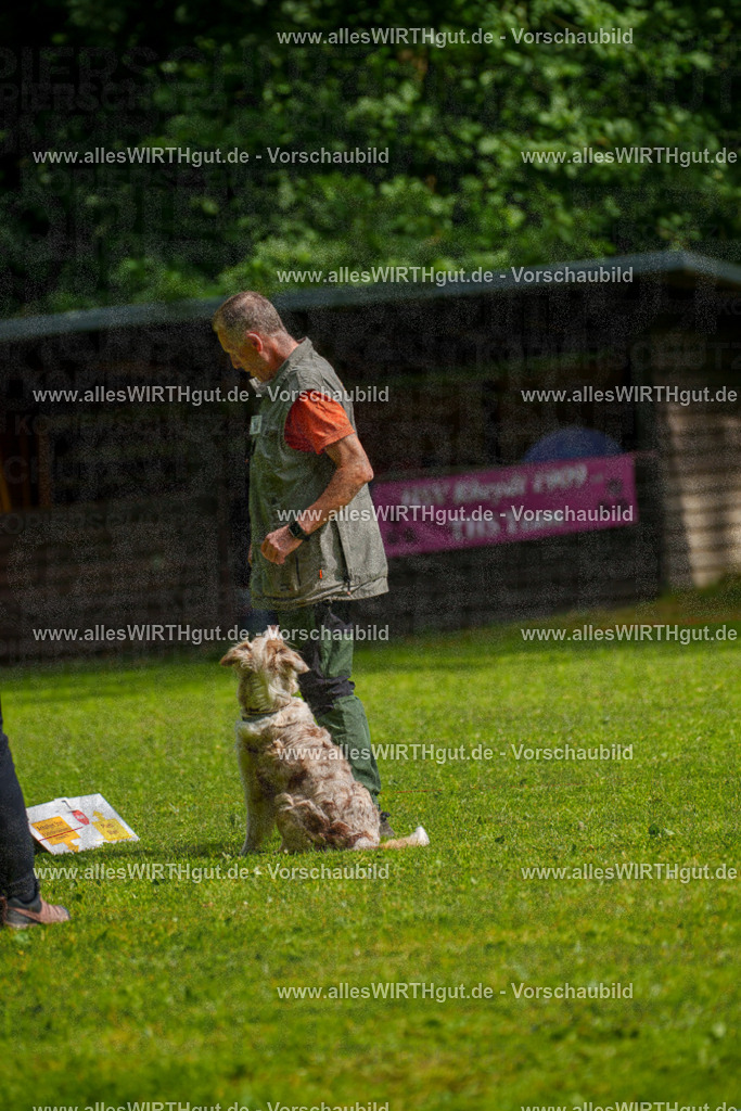 @allesWIRTHgut_Tierfotografie - www.allesWIRTHgut.de - 7R502827 | Professionelle Tierfotografie in Mönchengladbach von Daniel Wirth (allesWIRTHgut). Liebevolle & natürliche Bilder von Hunden & Katzen für unvergessliche Erinnerungen.