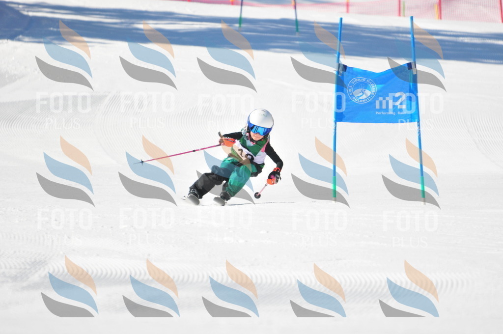 C2722 | holidayphoto