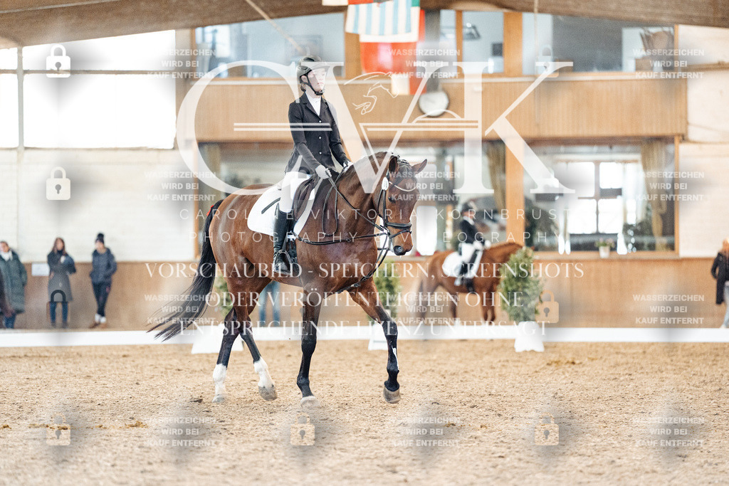 CK908034 | Turnierfotografie Pferdefotografie Trier Rheinland-Pfalz Pferdesport Reitsport Tierfotografie Sportfotografie Pferdevideo Pferdevideografie Equestrianvideography equestrianphotography  - Realized with Pictrs.com