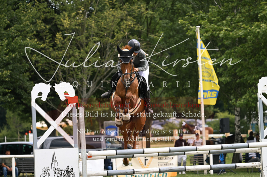 DSC_9122 | Pferde- und Turnierfotografie in Westsachsen. Pferdeportraits, Auftragszeichnungen und intuitive Kunst.