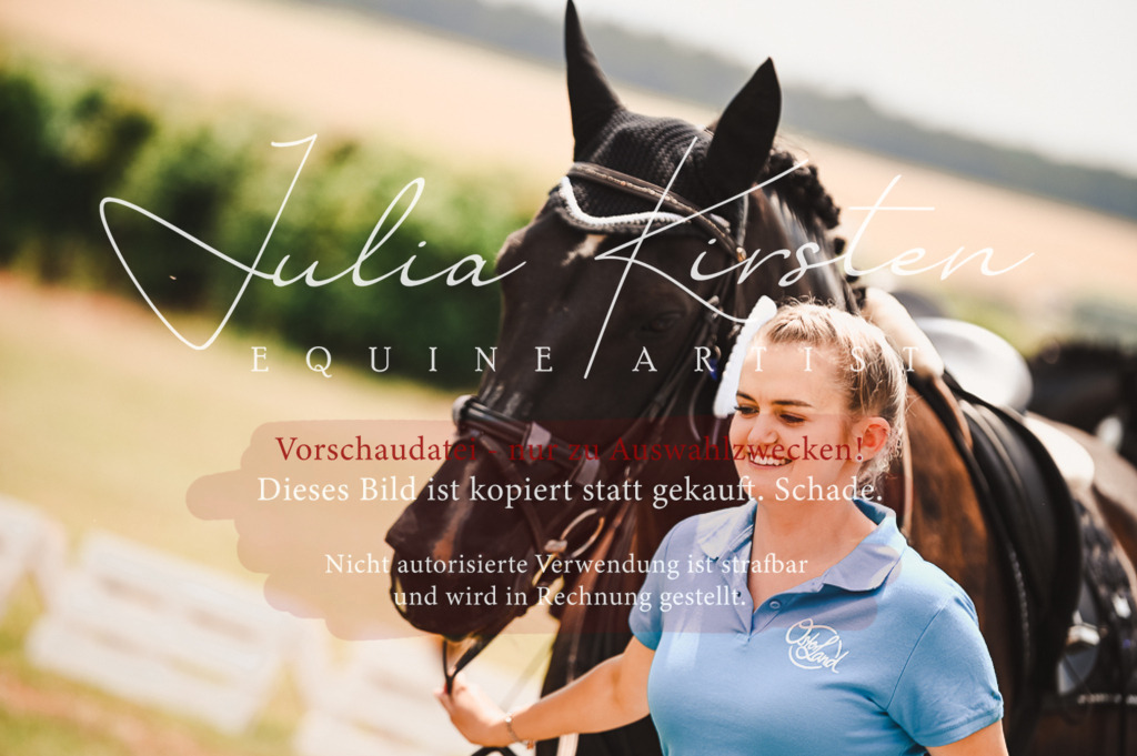 DSC_6441 | Pferde- und Turnierfotografie in Westsachsen. Pferdeportraits, Auftragszeichnungen und intuitive Kunst.