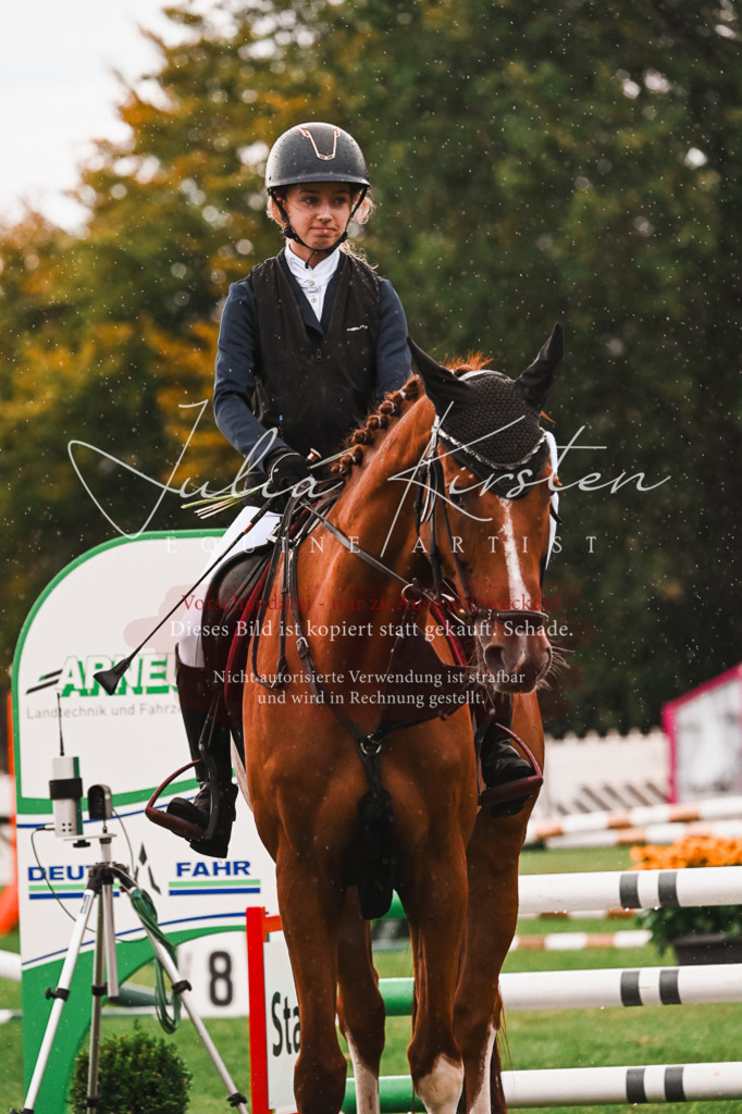 DSC_6215 | Pferde- und Turnierfotografie in Westsachsen. Pferdeportraits, Auftragszeichnungen und intuitive Kunst.