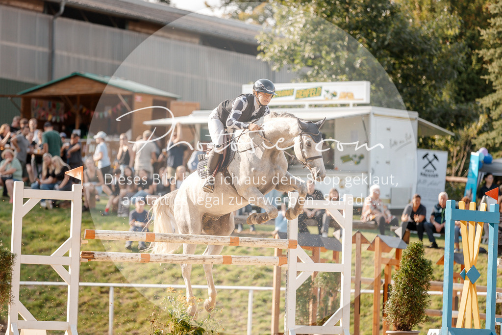 3I6A5122 | Stimmungsvolle Portraits und Reitsportfotografie im Ruhrgebiet und im Münsterland.

Pferdefotografie, Hundefotografie, Tierfotografie, Reportagen, Portraits von Tier und Mensch, Turnierfotografie in Bochum, Recklinghausen, Marl, Haltern am See, Dülmen.. - Realisiert mit Pictrs.com