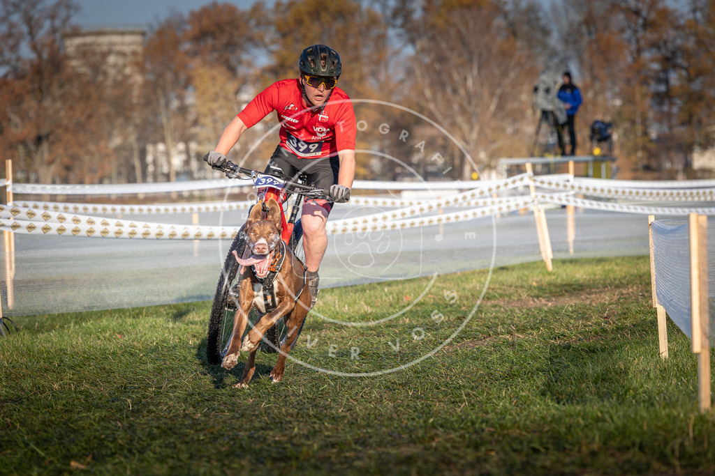 CaniXpix_0L8A3932 | Hundefotografie, Tierfotograf, Pfotenfotografie, Fotoshooting Hund, Hunde Portrait, Hundesport, Hundeportraits, Heideshooting, Hunde, Sportfotograf, Hundefotograf, Turnierhundsport, THS,  - Realisiert mit Pictrs.com