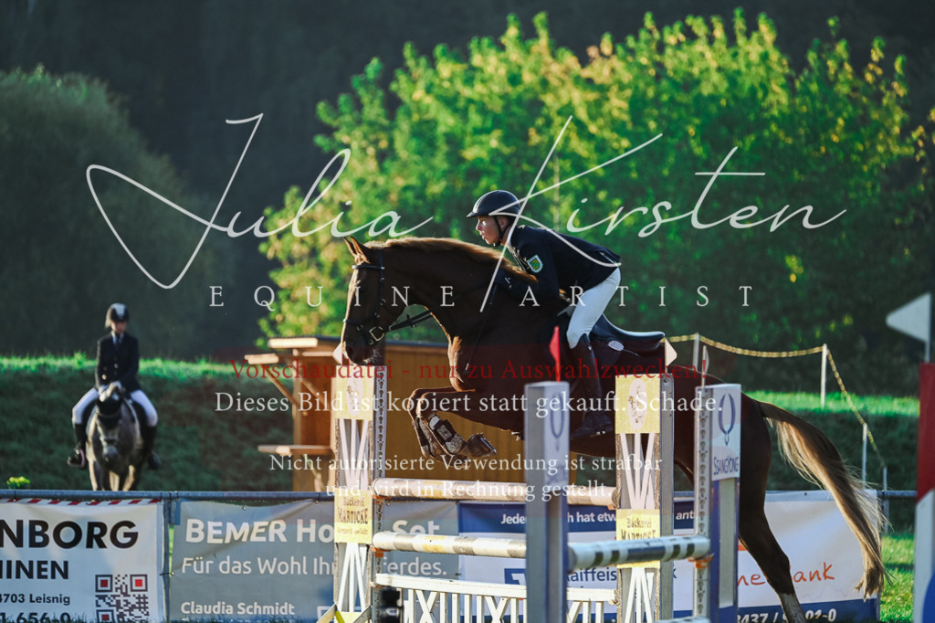 DSC_3751 | Pferde- und Turnierfotografie in Westsachsen. Pferdeportraits, Auftragszeichnungen und intuitive Kunst.