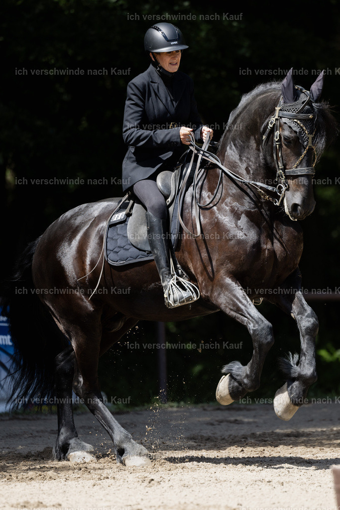 KlasseM_stoibphotography_C2_C8980.CR3 | working equitationturnier fotograf videograf stoibphotography marixx film working equitation deutschland reitsport turnierfotografie eventfotografie equestrian events