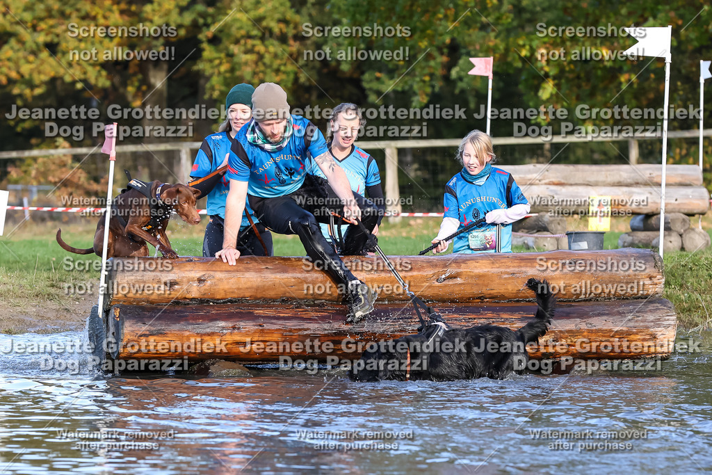 Dog Paparazzi - Strongdog 10-25-8578 | Dog Paparazzi Jeanette Grottendiek Fotografie & Videografie - Realisiert mit Pictrs.com