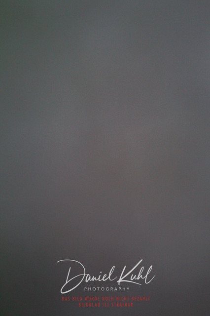 DKP43263 | Turniersportfotografie; Pferdefotografie; Dressurfotografie