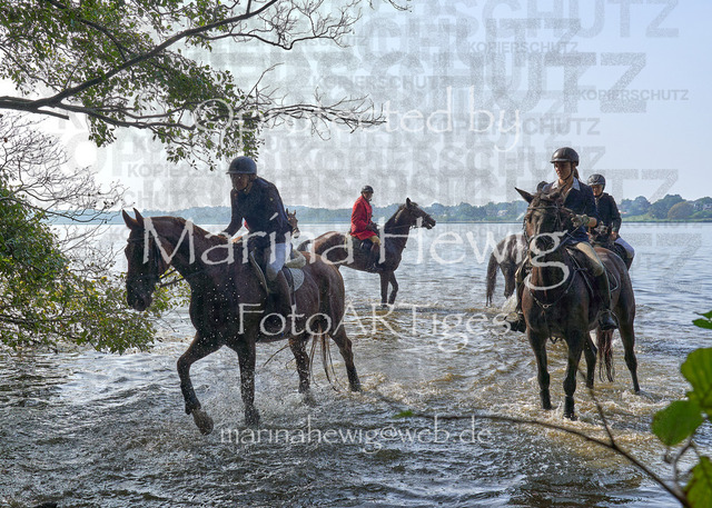 09-23 JAgd PerdölDSC02268_Marina Hewig | Fotografie, FotoArt, PferdesportArt, Pferdesportfotografie, Landschaftsfotografie, Reisefotografie, Reise, Pferde - Realisiert mit Pictrs.com