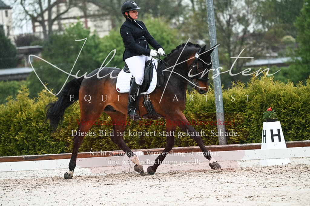 DSC_4539 | Pferde- und Turnierfotografie in Westsachsen. Pferdeportraits, Auftragszeichnungen und intuitive Kunst.