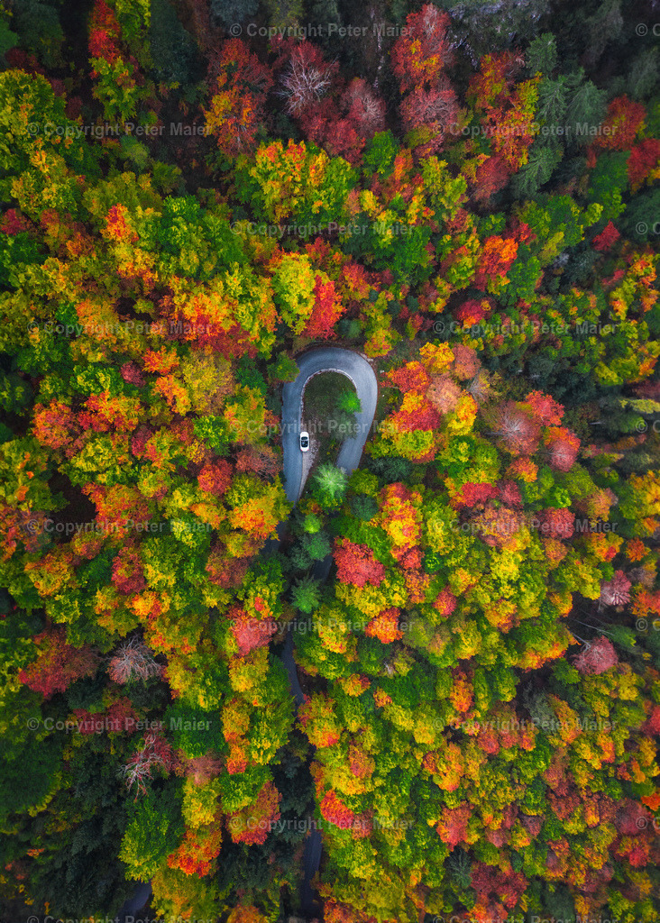 Sortiert_Foto-21665-Bearbeitet | piet_flosse