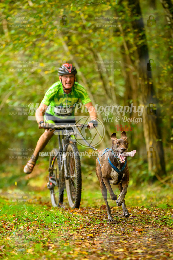 MompixPhotography_20TSB_E1_Doppel-11 | PayLife