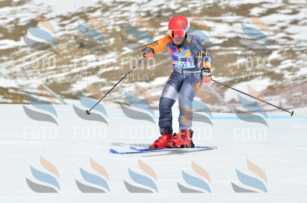 _ELE2280 | holidayphoto