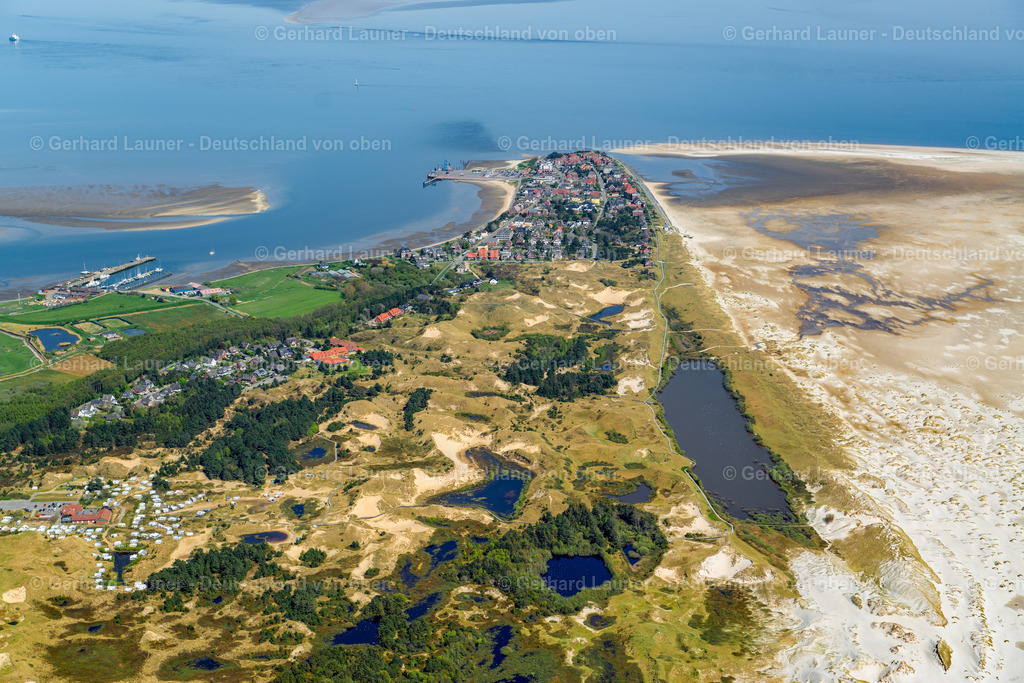 3801859 | Amrum, Nationalpark Schleswig-Holsteinisches Wattenmeer