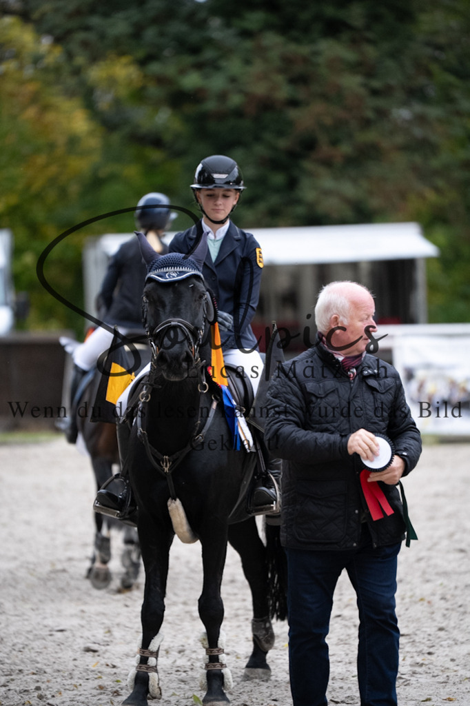 A7V08910 | Pferdefotograf