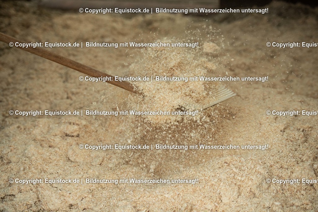 20190409_Einstreu_in_Pferdebox_0003 | Foto: Thomas Hartig