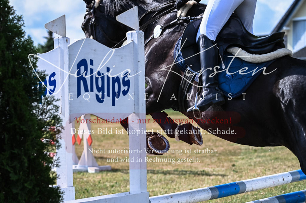 DSC_7884 | Pferde- und Turnierfotografie in Westsachsen. Pferdeportraits, Auftragszeichnungen und intuitive Kunst.