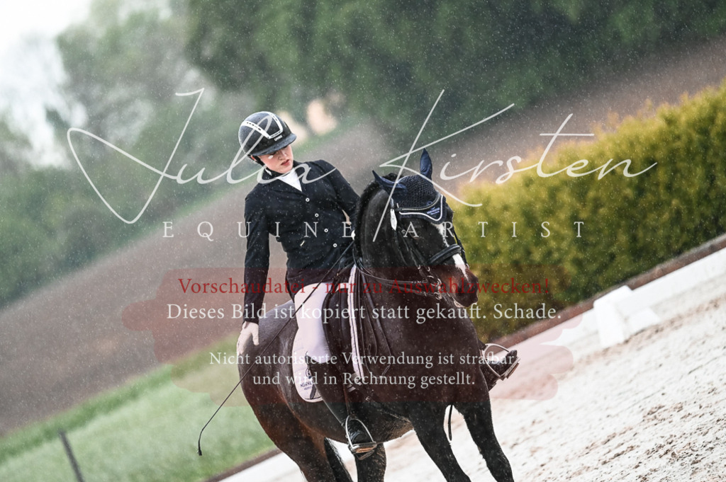 DSC_4682 | Pferde- und Turnierfotografie in Westsachsen. Pferdeportraits, Auftragszeichnungen und intuitive Kunst.