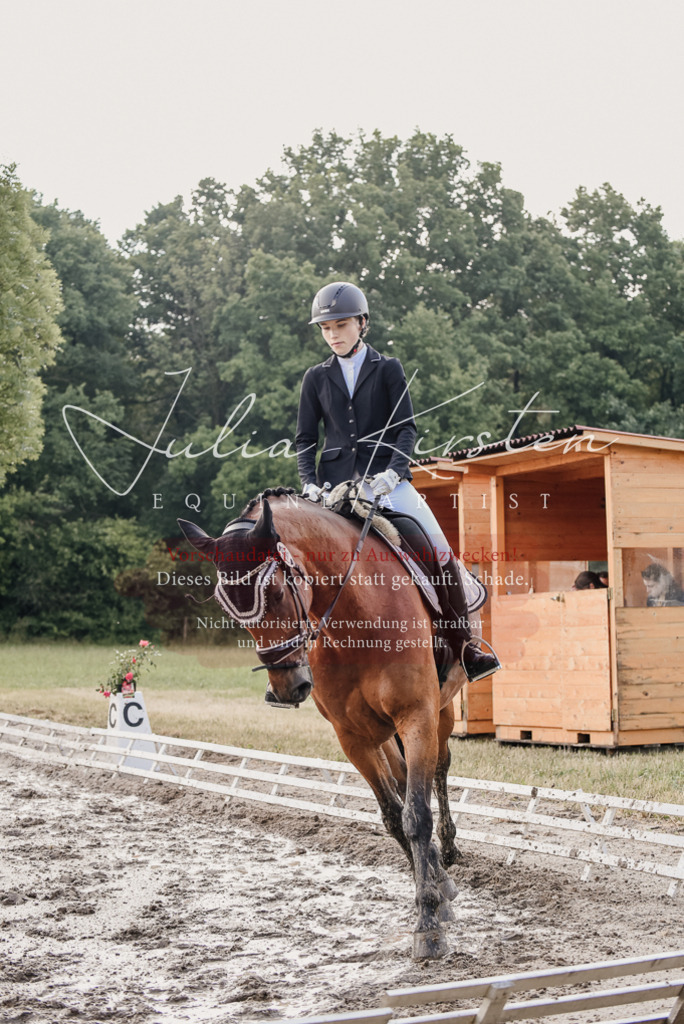 DSC_8145 | Pferde- und Turnierfotografie in Westsachsen. Pferdeportraits, Auftragszeichnungen und intuitive Kunst.