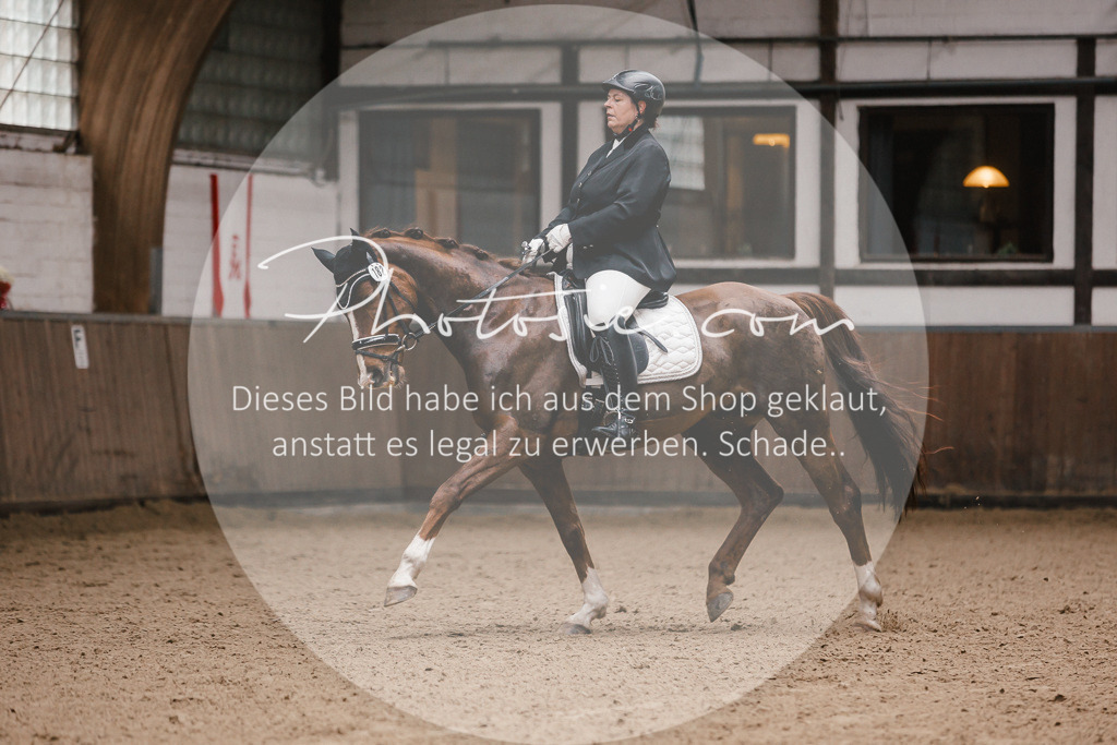 3I6A7178 | Stimmungsvolle Portraits und Reitsportfotografie im Ruhrgebiet und im Münsterland.

Pferdefotografie, Hundefotografie, Tierfotografie, Reportagen, Portraits von Tier und Mensch, Turnierfotografie in Bochum, Recklinghausen, Marl, Haltern am See, Dülmen.. - Realisiert mit Pictrs.com