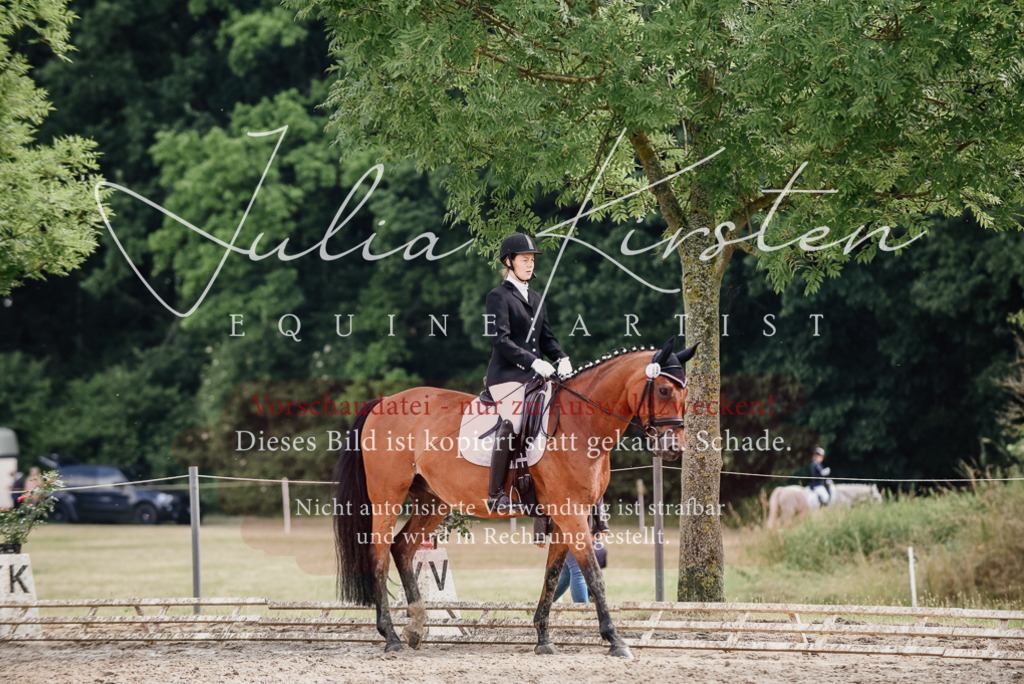 DSC_9754 | Pferde- und Turnierfotografie in Westsachsen. Pferdeportraits, Auftragszeichnungen und intuitive Kunst.