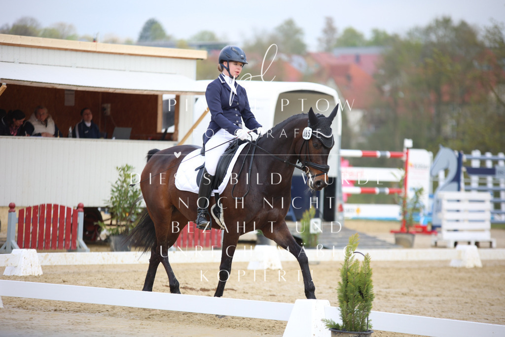 IMGT6049 | pl-fotografie