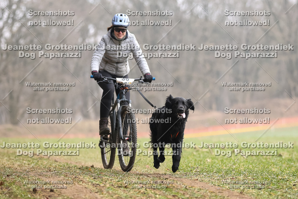 Dog Paparazzi - Plate 2026-126 | Dog Paparazzi Jeanette Grottendiek Fotografie & Videografie - Realisiert mit Pictrs.com