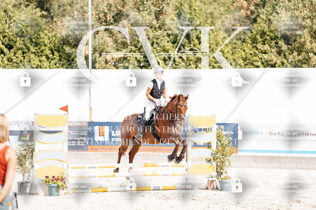 CK906375 | Turnierfotografie Pferdefotografie Trier Rheinland-Pfalz Pferdesport Reitsport Tierfotografie Sportfotografie Pferdevideo Pferdevideografie Equestrianvideography equestrianphotography  - Realisiert mit Pictrs.com