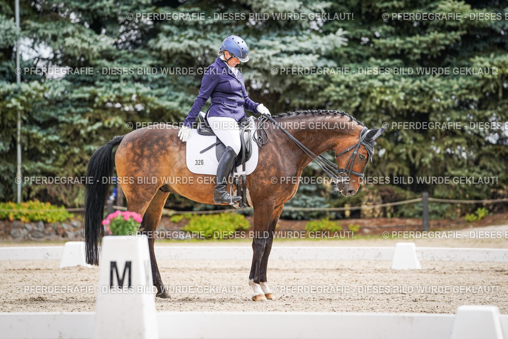 DSC02556 | Pferdegrafie