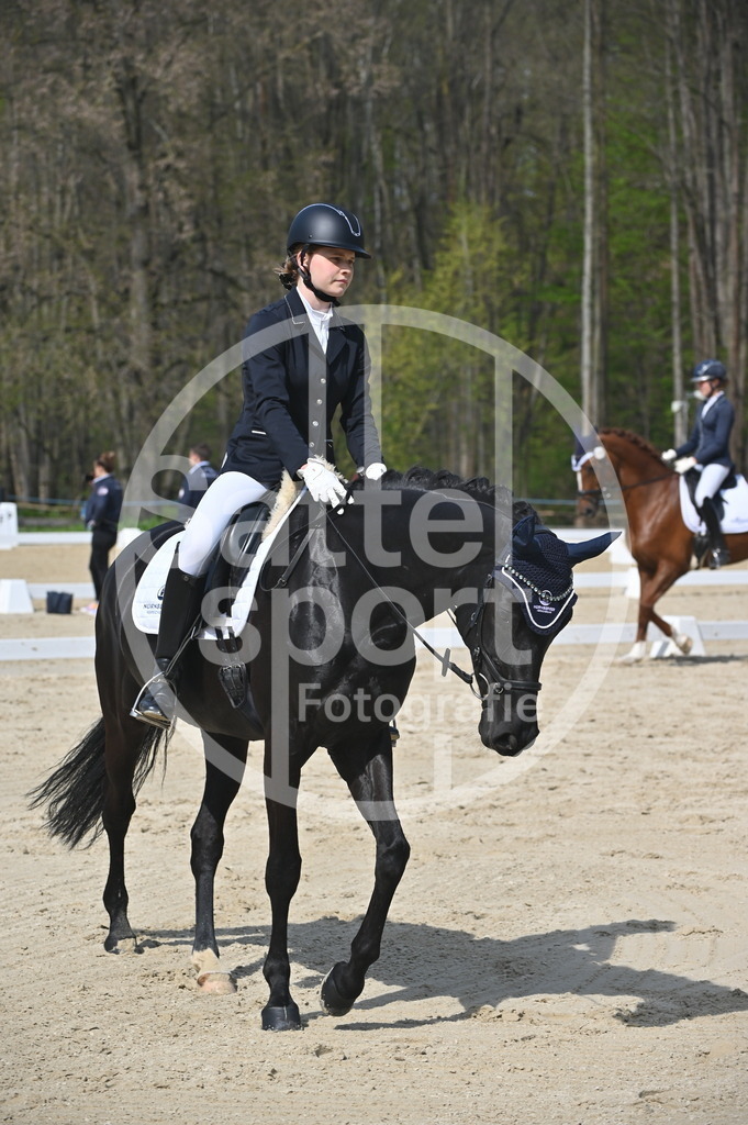 DSC_1110 | sattelsport - Realisiert mit Pictrs.com