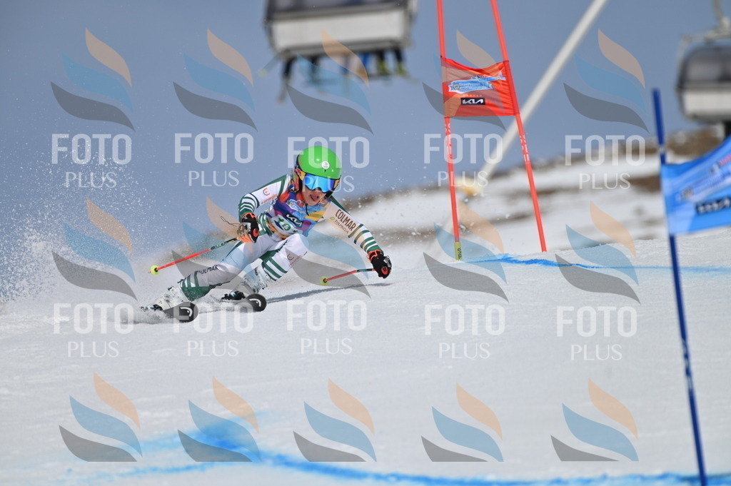 BGV_3547 | holidayphoto