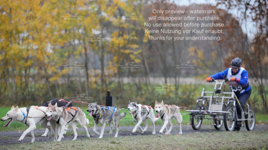 Visbeck_Sa_D4_6-55 | stephaniefillaphotographie - Realisiert mit Pictrs.com