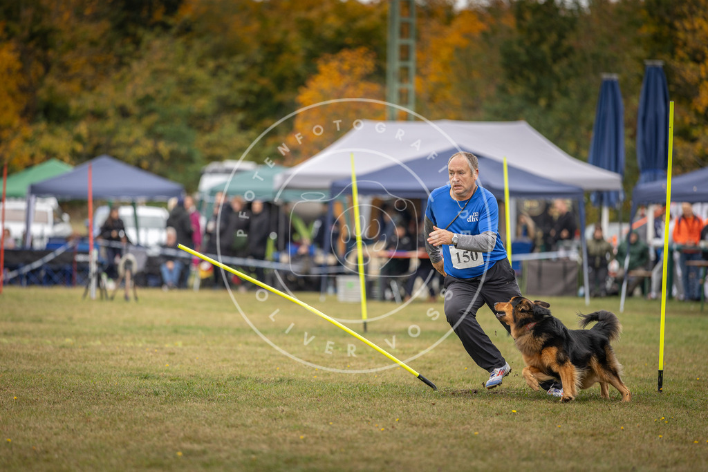 Pfotenfotografie_DV3A6477 | Hundefotografie, Tierfotograf, Pfotenfotografie, Fotoshooting Hund, Hunde Portrait, Hundesport, Hundeportraits, Heideshooting, Hunde, Sportfotograf, Hundefotograf, Turnierhundsport, THS,  - Realisiert mit Pictrs.com