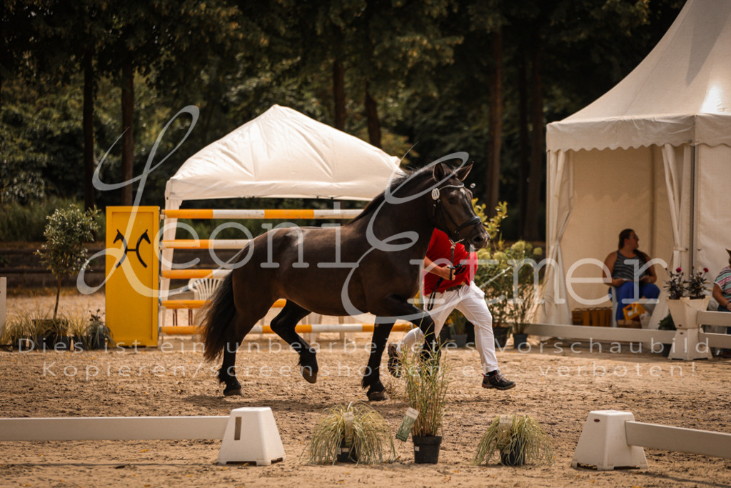 SaSieger00018 | Leoni Ertmer Photography - Realisiert mit Pictrs.com