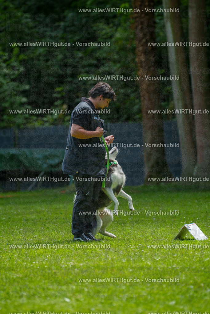 @allesWIRTHgut_Tierfotografie - www.allesWIRTHgut.de - 7R500957 | Professionelle Tierfotografie in Mönchengladbach von Daniel Wirth (allesWIRTHgut). Liebevolle & natürliche Bilder von Hunden & Katzen für unvergessliche Erinnerungen.