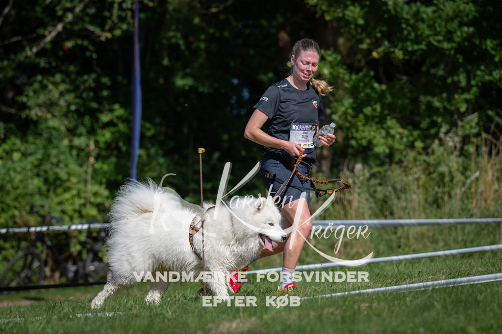 1054_ZZ99539 | kk-dogfotos