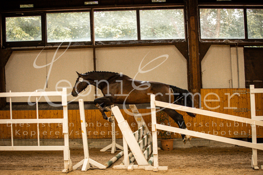 2FS_L00002 | Leoni Ertmer Photography - Realisiert mit Pictrs.com