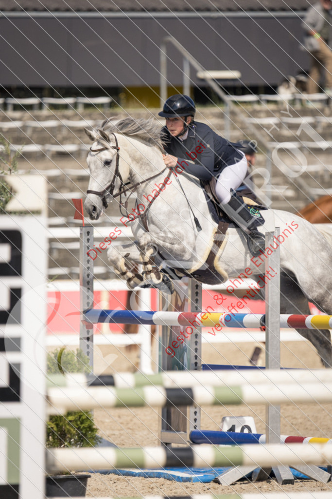 IMG_4421 | Sport-, Event- und Tierfotos in Profiqualität. Einfach auswählen, bestellen und herunterladen. Dein Moment – perfekt festgehalten.