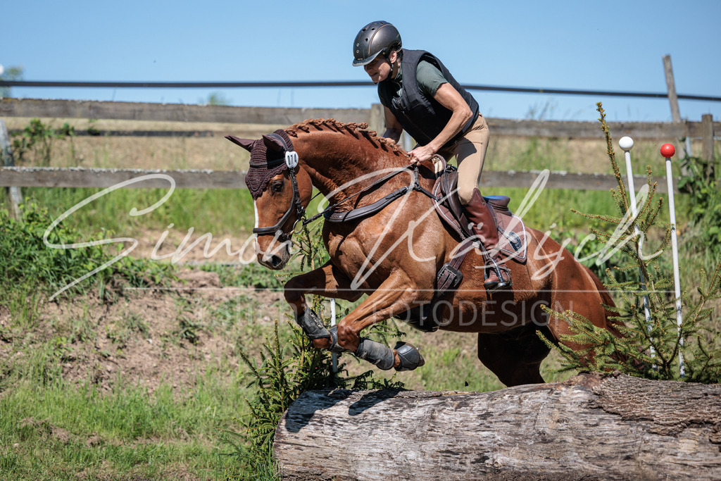 20260523-_3LI7429 | Tierfotografie Pferde, Hunde, Katzen, Haustiere.
Turnierfotografie Reitturniere, Reiten, Springreiten, Dressur in Hanau, dem Main-Kinzig-Kreis und dem Rhein-Main- Gebiet um Frankfurt