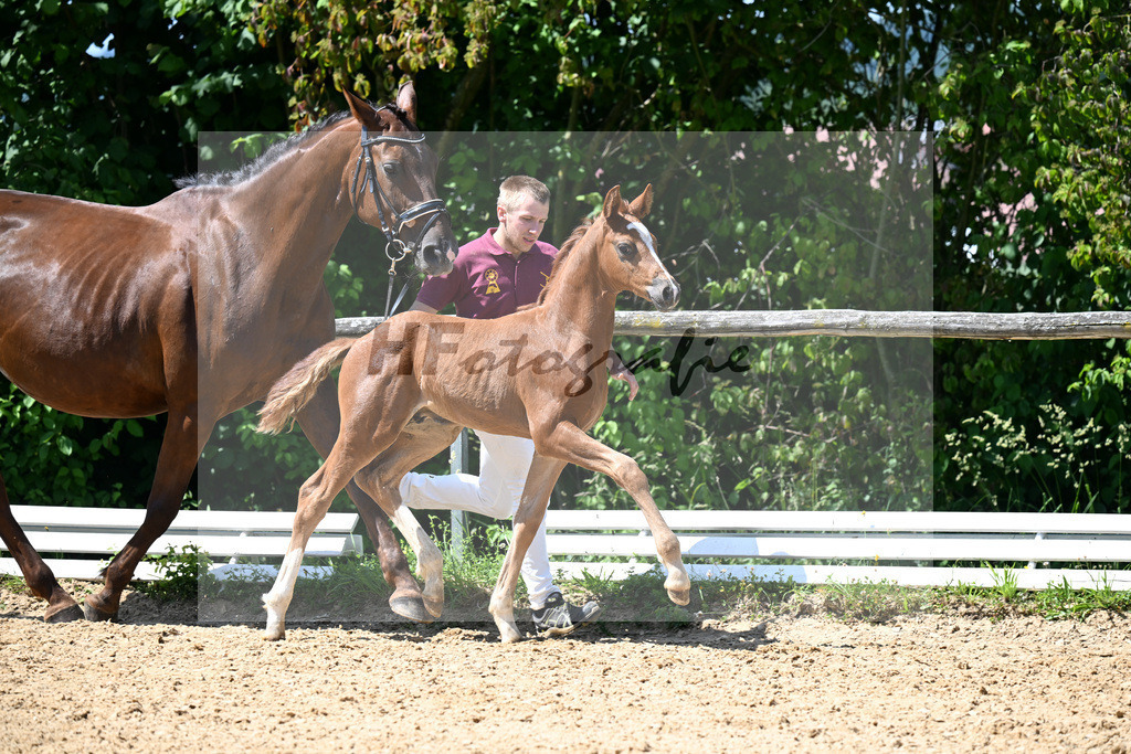 Kat-Nr. 14 Bon Esprit x Dimaggio_HF_Fischer_16250368 | hf-fotografie - Realizzato con Pictrs.com